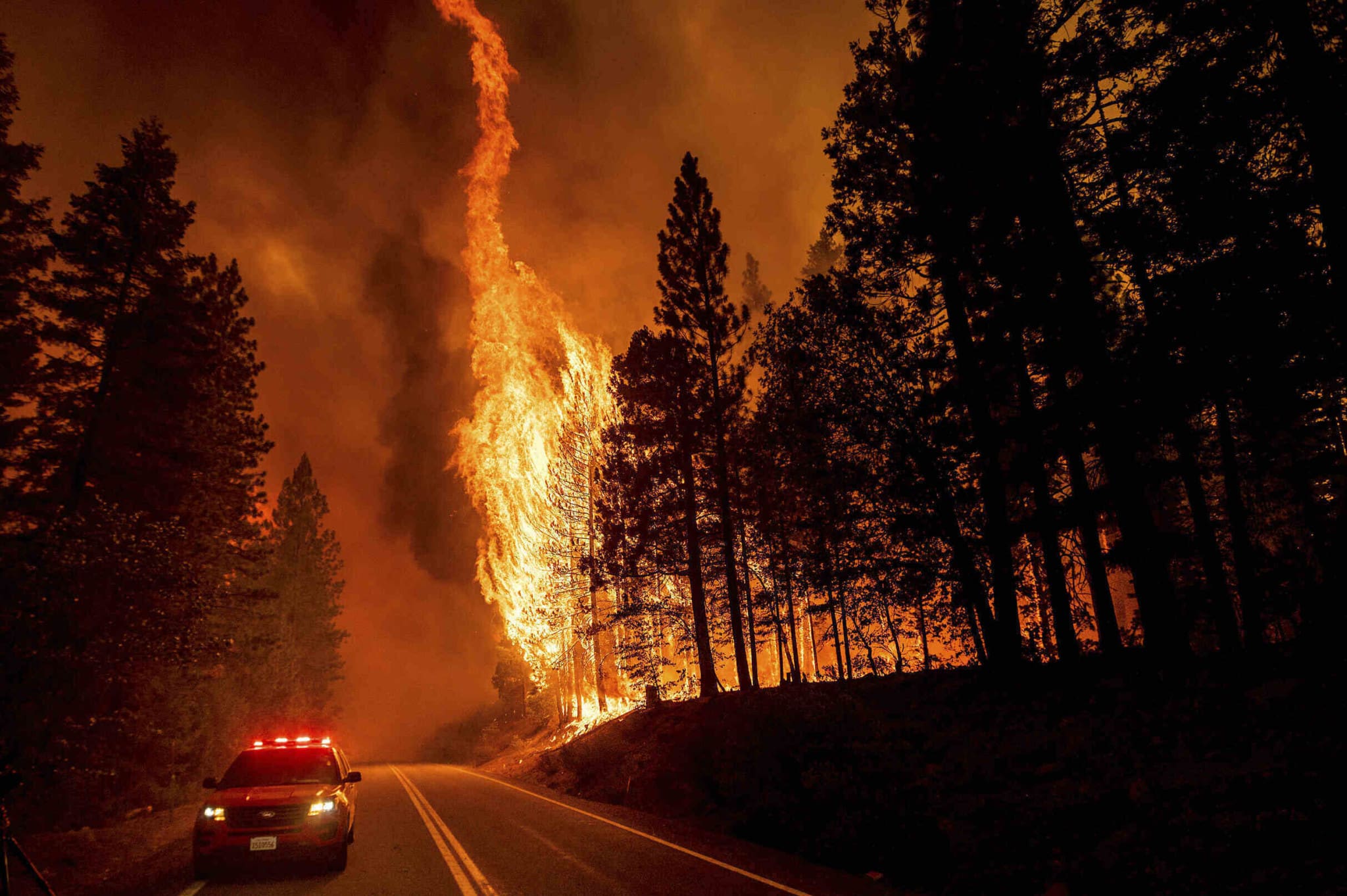 wildfire, California