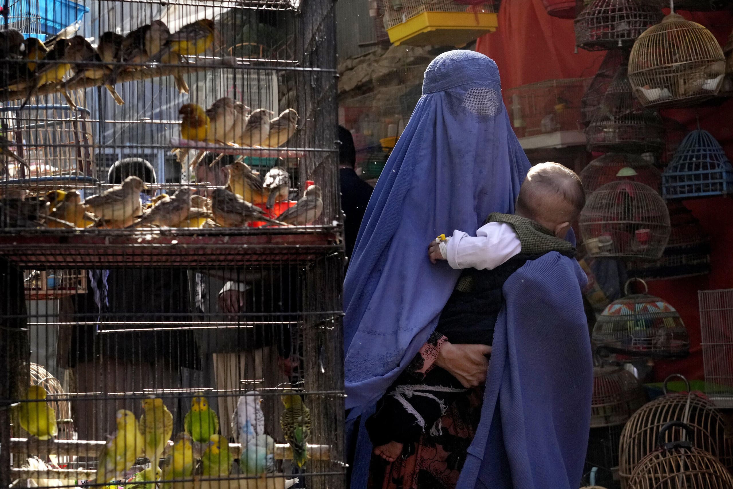 burqa, Taliban, Afghanistan