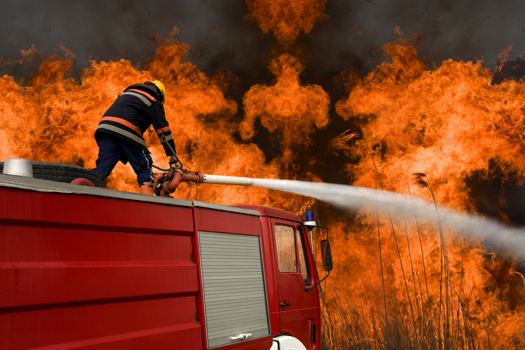 France: Moroccan migrant walks free despite setting fire to 4 acres of forest and numerous convictions for arson, terror promotion, and sexual offenses