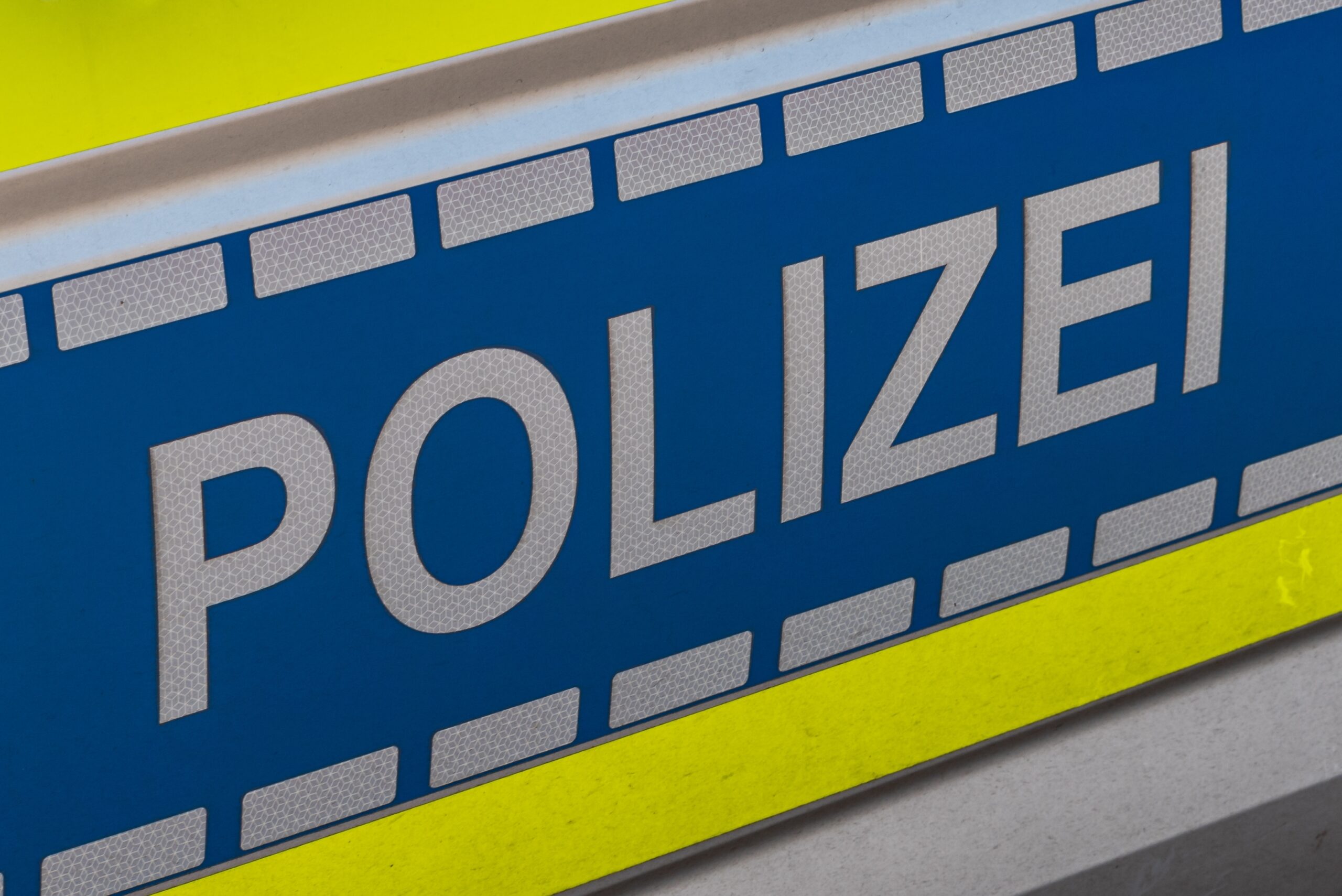 Germany: Eritrean migrant arrested after brutally beating two women with a metal pole in Horb am Neckar, 1 woman nearly died