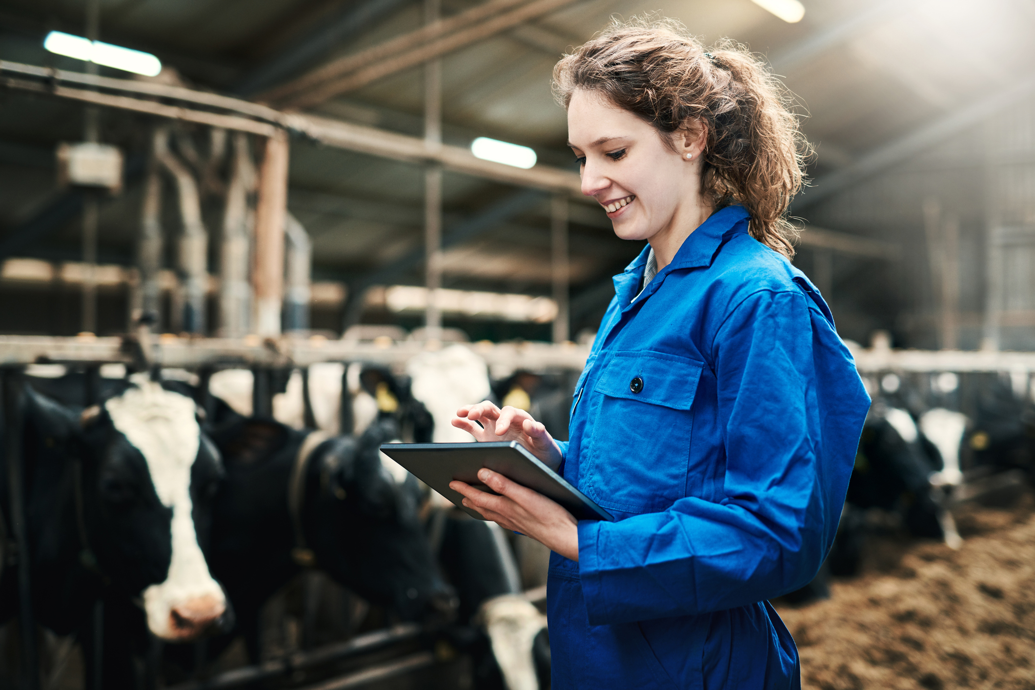 The Dutch choose meat: Vegan diets see a 75% drop in popularity in just 2 years, while vegetarianism also crashes