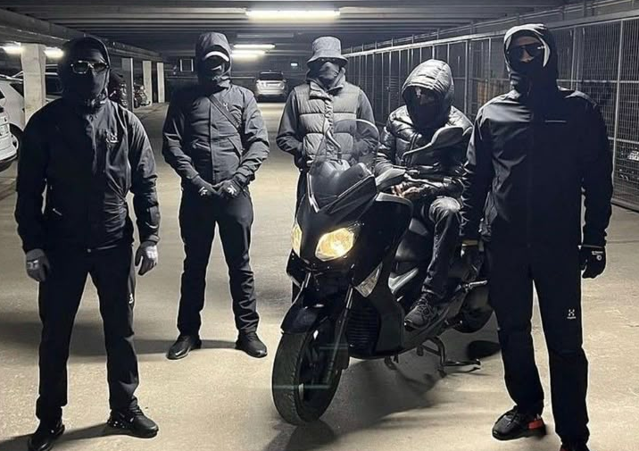 Sweden: Report finds over €325 million in fraudulent welfare benefits has been paid to gang criminals, providing a safety net for illicit networks