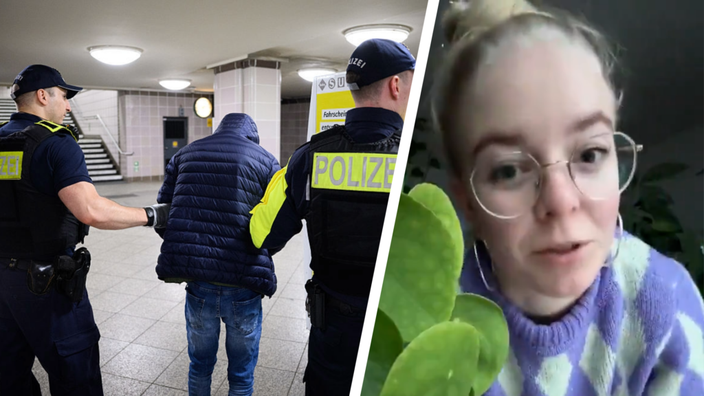 Knife-wielding suspects ‘only have White skin,’ claims former German Green Party. Her view is completely disconnected from reality